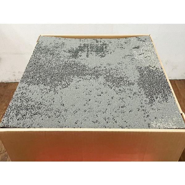 【未使用品】Skinny planks スキニー プランク RAW-URBAN ロウ アーバン タイルカーペット INTERFACE USA 20枚 50×50cm ※No.3※_2