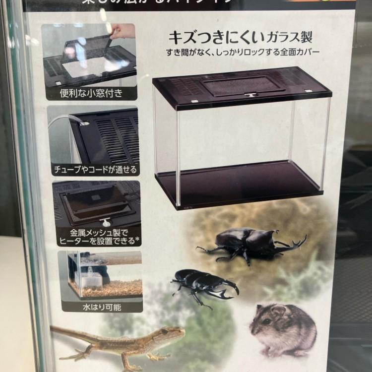 ガラス・プラスチック飼育ケースセット 10个 楽天市場】プラケース