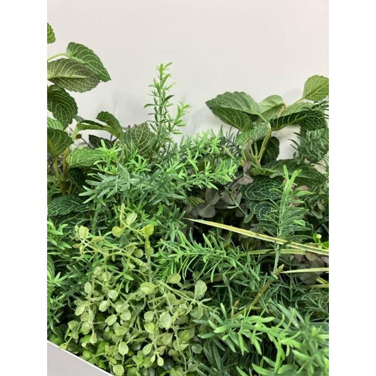 法人貨物輸送 クヨ 卓上緑であること Green -forworkspace- バス発着場 事務所 人工草木 (中古品)