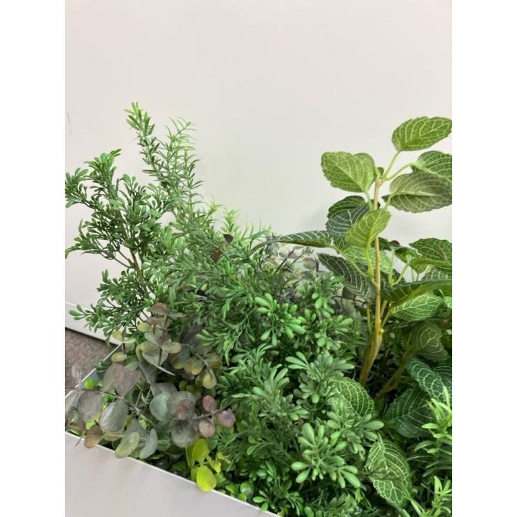 法人貨物輸送 クヨ 卓上緑であること Green -forworkspace- バス発着場 事務所 人工草木 (中古品)
