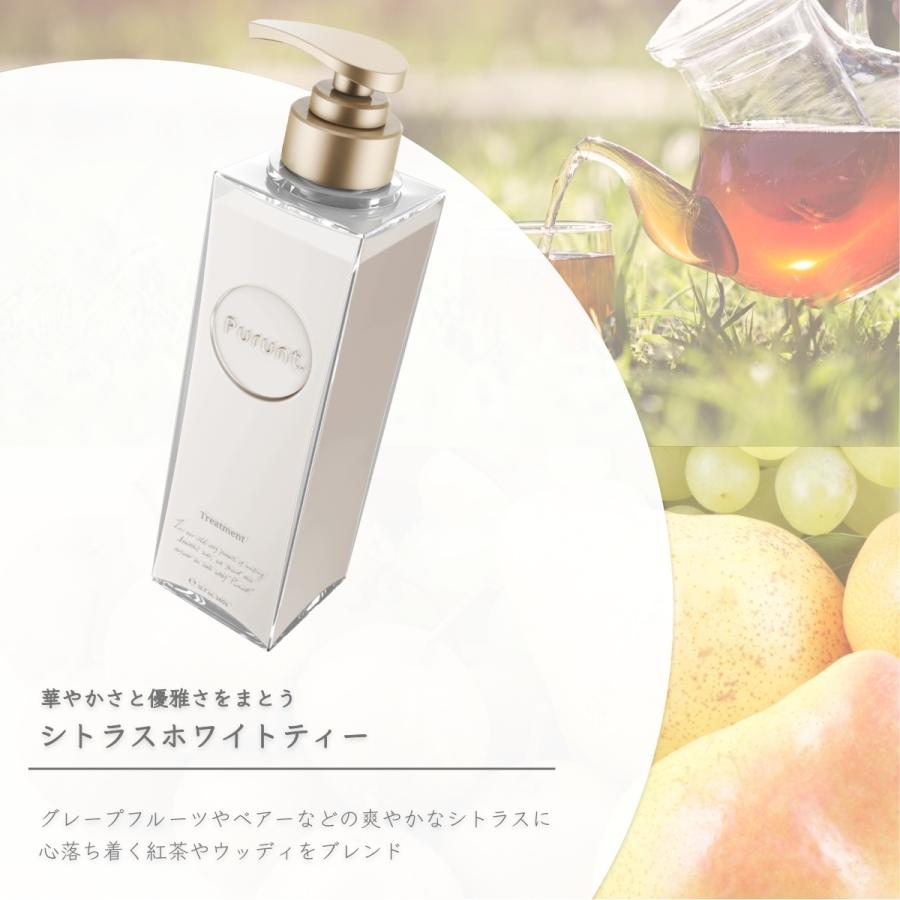 プルント限定シャンプー・トリートメント　5点セット プルント お試し 5日分 シャンプー & トリートメント Purunt パウチ