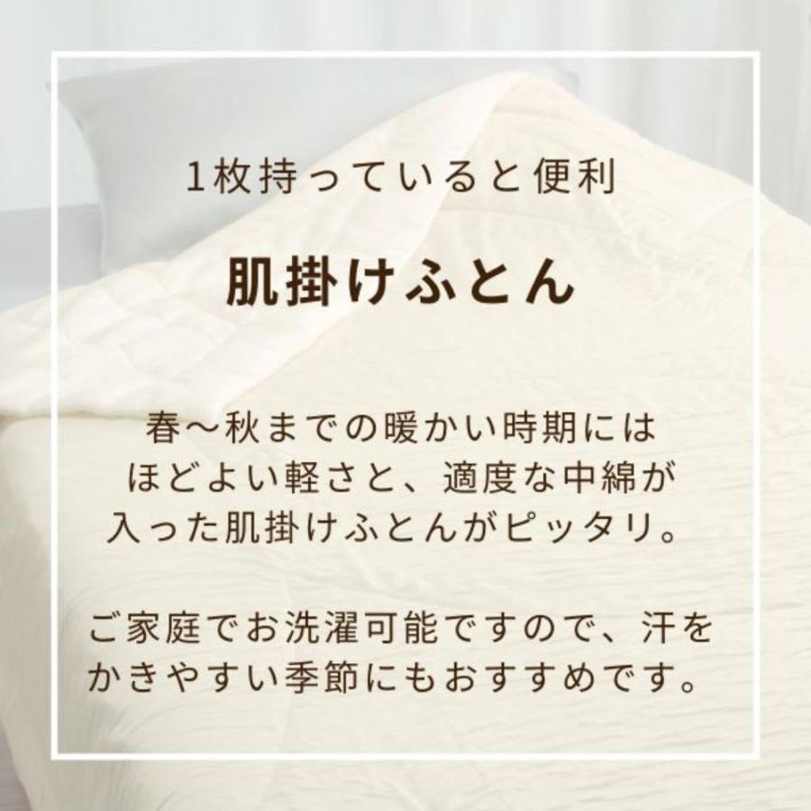 ロマンス小杉 肌掛け布団 綿 シングル 綿100％ コットン肌掛けふとん