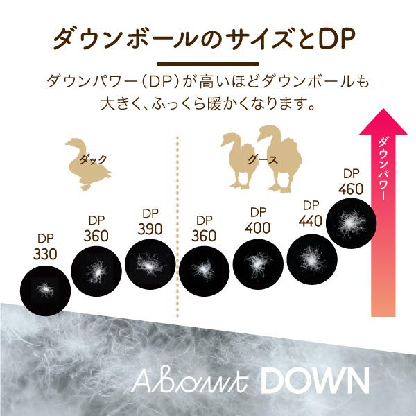 ロマンス小杉 公式 羽毛布団 シングル ノースポール ホワイトグース 95