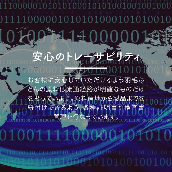 ロマンス小杉 公式 羽毛肌掛け布団 ダブル ノースポール ホワイトグース 95％ 綿100％ 立体キルト 日本製 肌布団 布団_13
