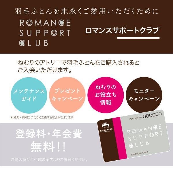 ロマンス小杉 公式 羽毛肌掛け布団 ダブル ノースポール ホワイトグース 95％ 綿100％ 立体キルト 日本製 肌布団 布団_14