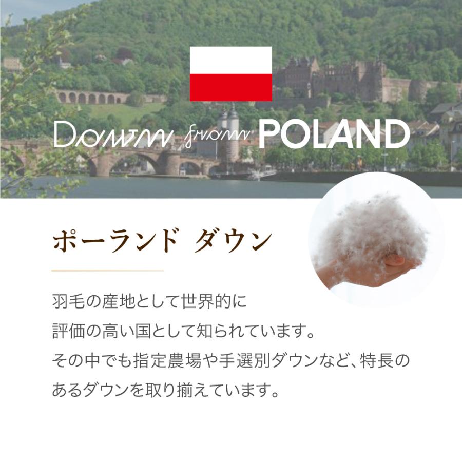 羽毛布団 ダブル 冬 ポーランドマザーホワイトグース95％ 1.2kg 綿100% 二層式キルト 日本製 ロマンス小杉_3