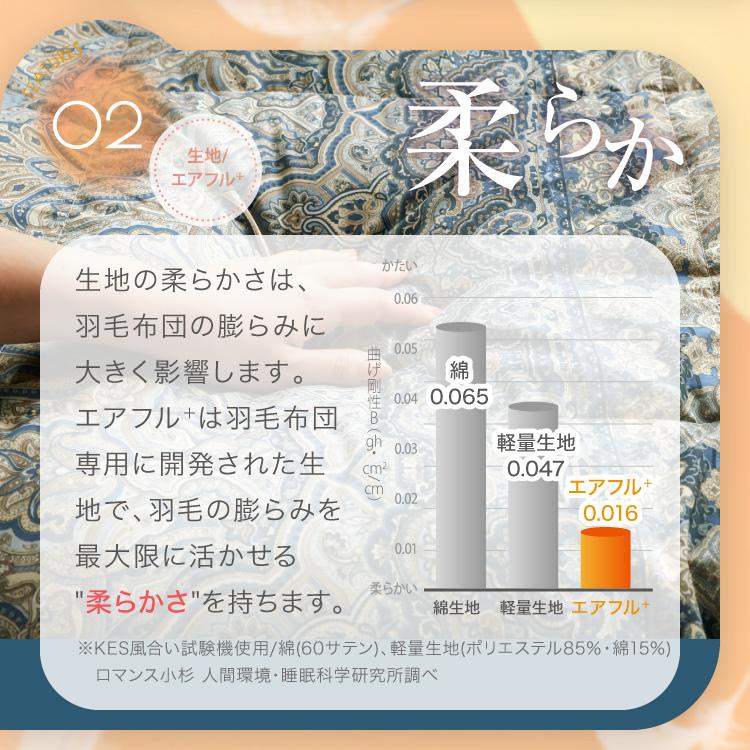 ロマンス小杉 羽毛布団 クイーン 洗える クイーンサイズ マザー