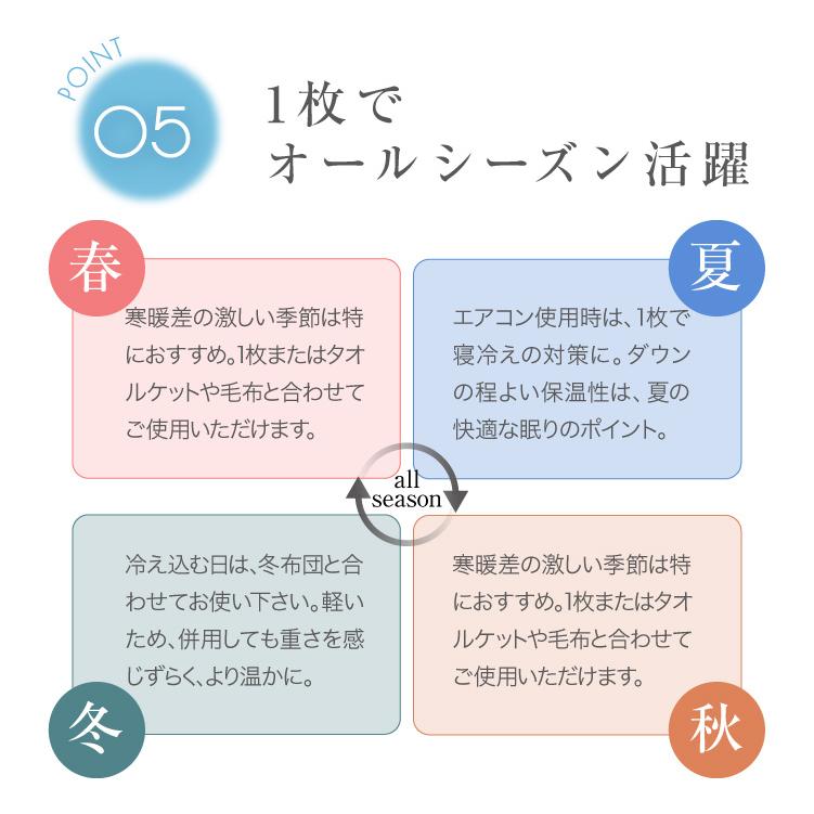 肌掛け布団 ダウンケット シングル 洗える 羽毛肌掛け布団 肌掛け 掛け布団 羽毛布団 薄手 夏掛け布団 夏布団 夏用掛け布団 肌布団_9