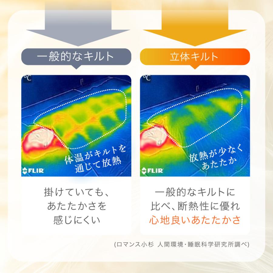 羽毛肌掛け布団 シングル ダウン93% 増量 肌掛け羽毛布団 夏 洗える 軽量 日本製 DP430 羽根布団 ダウンケット 春 羽毛 肌掛け_9