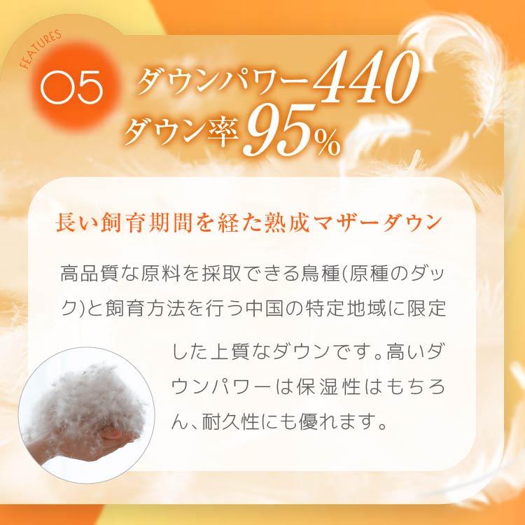 羽毛肌掛け布団 シングル マザーダウン95% 肌掛け羽毛布団 夏 洗える 軽量 日本製 DP440 羽根布団 ダウンケット 春 掛け布団 羽毛 肌掛け_15