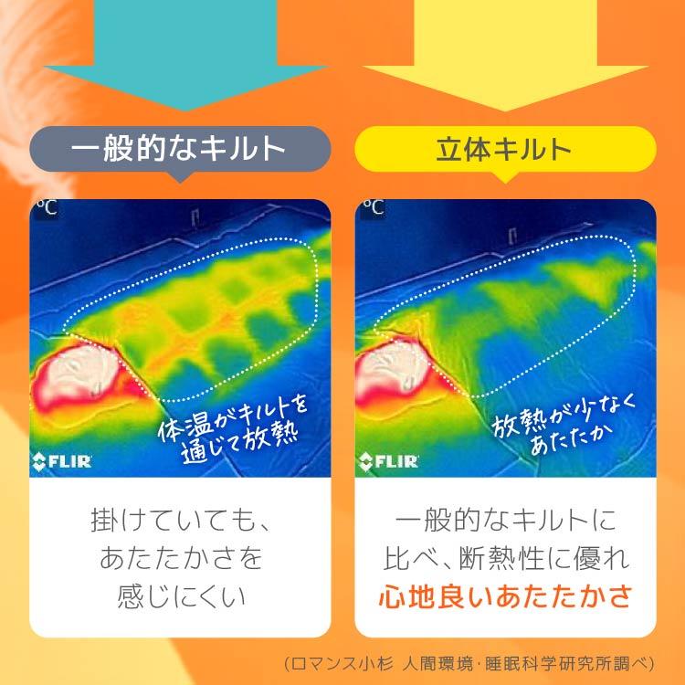 羽毛肌掛け布団 シングル マザーダウン95% 肌掛け羽毛布団 夏 洗える 軽量 日本製 DP440 羽根布団 ダウンケット 春 掛け布団 羽毛 肌掛け_14