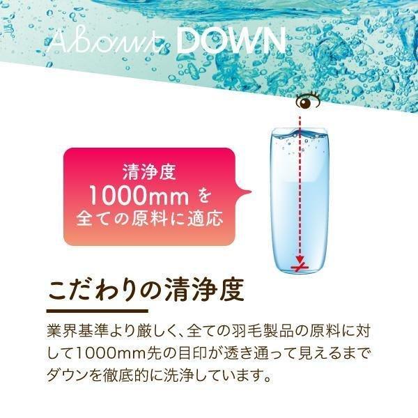 ロマンス小杉 羽毛肌掛け布団 日本製 シングル ダウンケット 洗える 夏