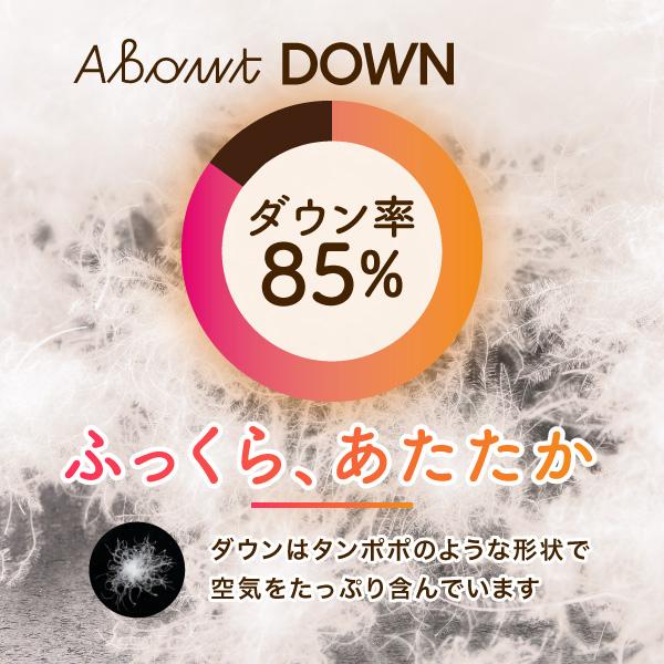 いちご泥棒 ウィリアムモリス 羽毛肌掛け布団 シングルロング 肌掛けふとん 肌布団 オールシーズン ウォッシャブル 洗える_1