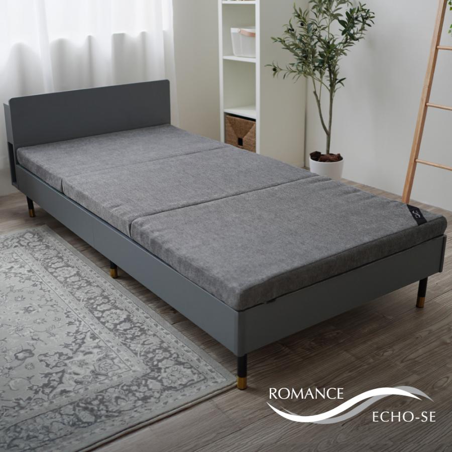 ロマンス小杉 ロマンスエコーSE 2025年新モデル マットレス シングル