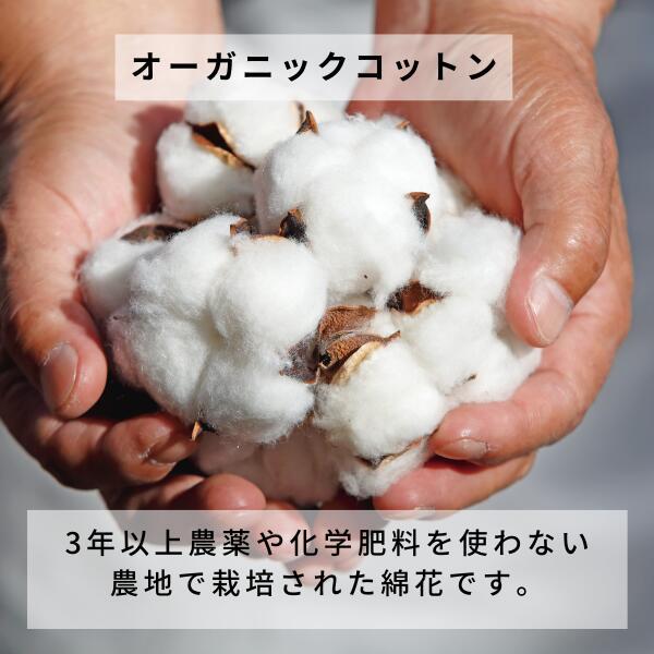 ロマンス小杉 綿毛布 綿100％ シングル オーガニックコットン