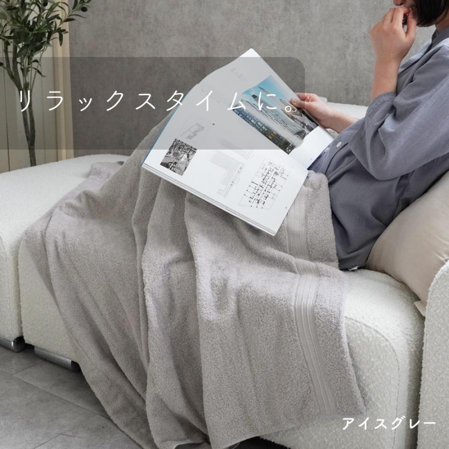 ロマンス小杉 タオルケット 今治 ハーフ 2枚セット 今治タオルケット