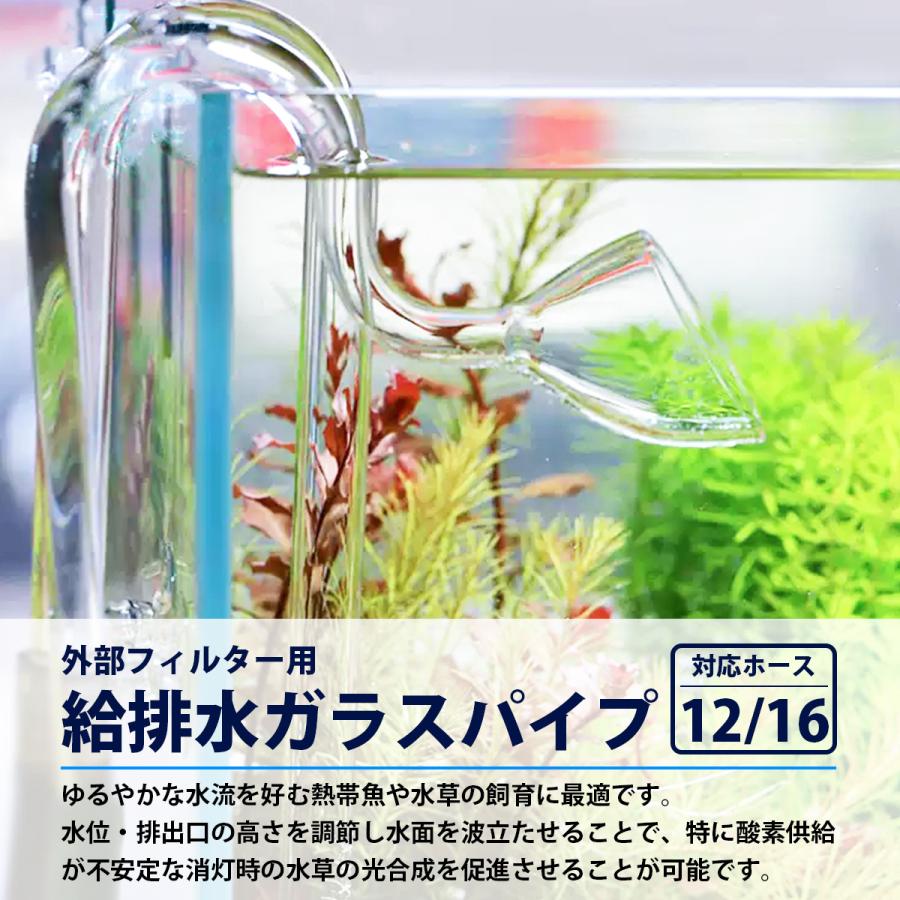 12/16 ホース 対応 水槽 ガラスパイプ セット 13mm リリィ型 吸水 出水