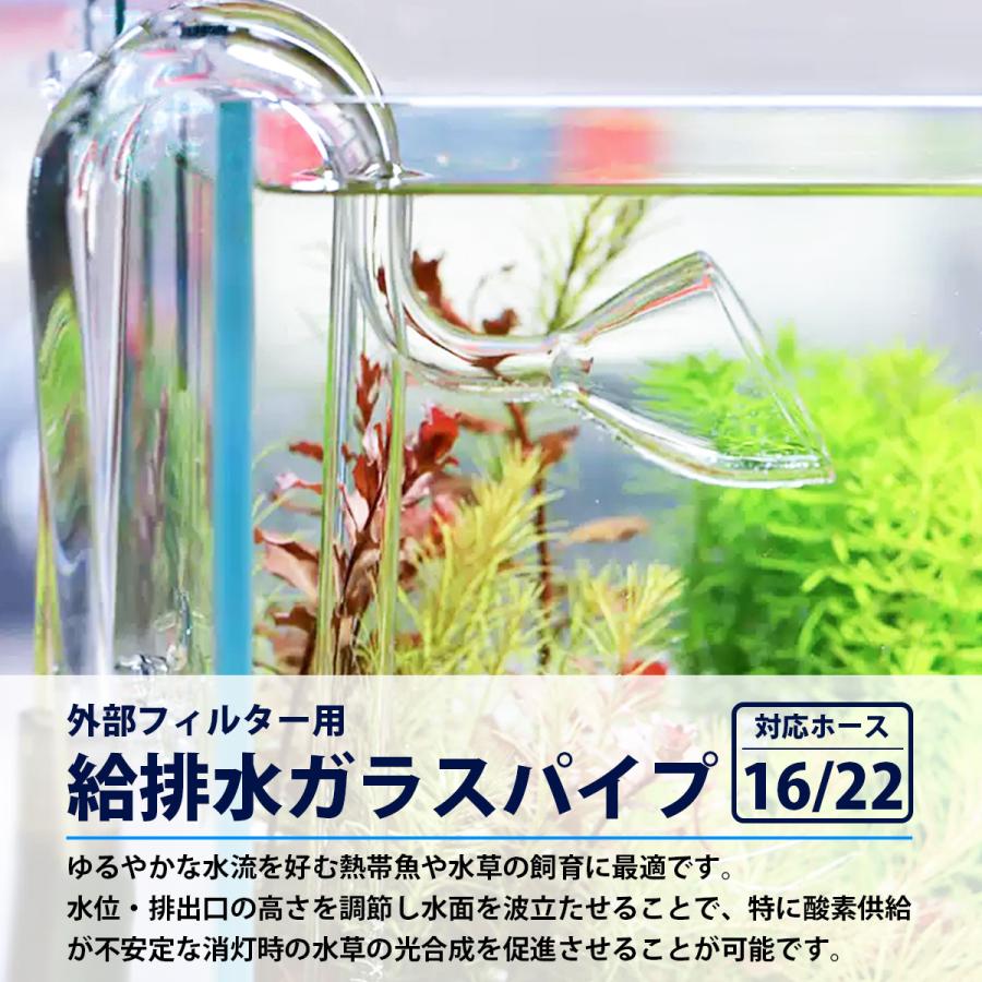 ADA リリィパイプ P-2 V-1 出水·吸水パイプセット   おまけ付き ADA リリィパイプ P-2 V-1 出水·吸水パイプセット おまけ付き