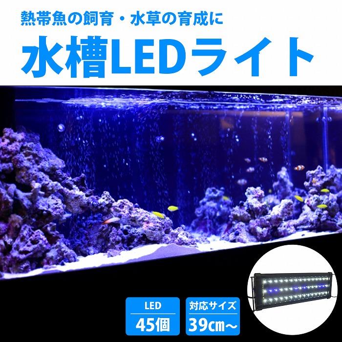 LED 3Wライト　2白1青30個 観賞魚、植物、水槽など多用 LED 3Wライト 30個2白1青 観賞魚、植物、水槽など多用 Amazon.