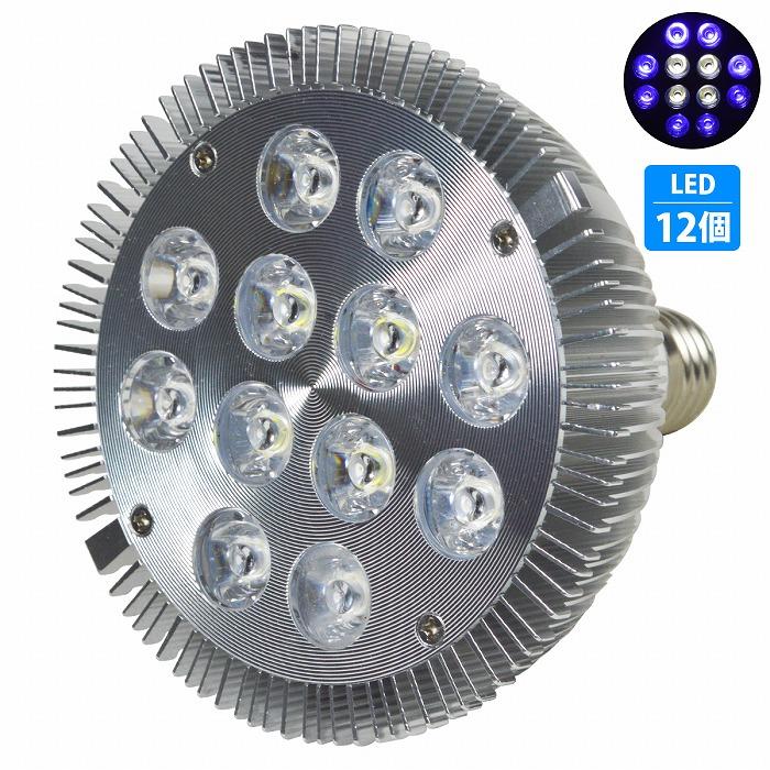 商舗 Led 電球 スポットライト 24w 2w 12 青8白4灯 水槽 照明 E26 Ledスポットライト 電気 水草 サンゴ 熱帯魚 観賞魚 植物育成 Calciogoal It