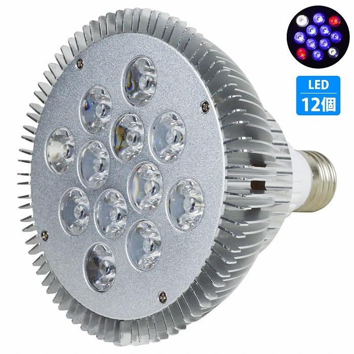 エーネクストショップled 電球 スポットライト 24w 2w 12 白2青8赤2 水槽 照明 E26 Ledスポットライト 電気 水草 サンゴ 熱帯魚 観賞魚 植物育成 至上