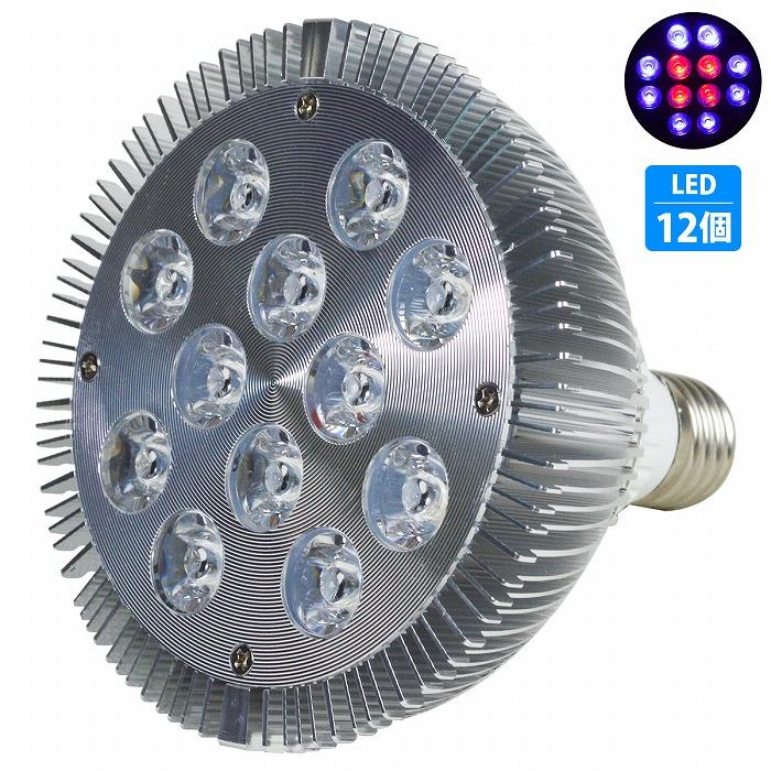 Led 電球 スポットライト 24w 2w 12 青8赤4 水槽 照明 E26 水草 Ledスポットライト 電気 サンゴ 熱帯魚 観賞魚 植物育成 休日