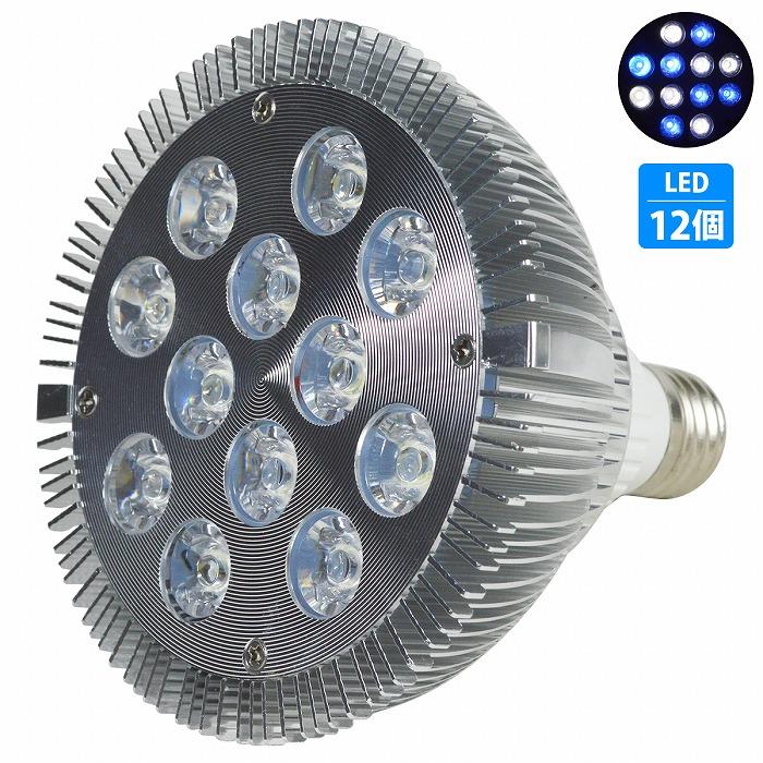 開店記念セール Led 電球 スポットライト 24w 2w 12 白6青6 水槽 照明 E26 水草 Ledスポットライト 電気 サンゴ 熱帯魚 観賞魚 植物育成 Shipsctc Org