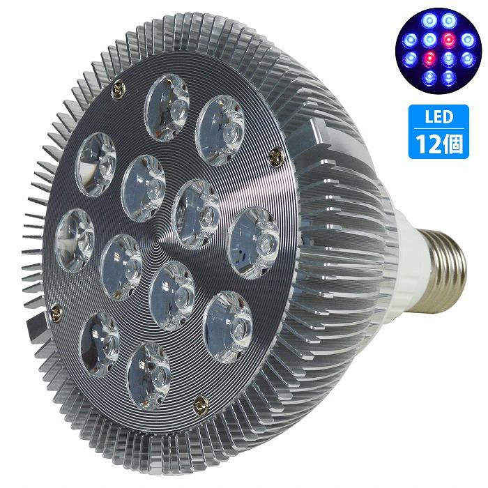 Led 電球 スポットライト 24w 2w 12 青10赤2 水槽 照明 E26 Ledスポットライト 電気 水草 サンゴ 熱帯魚 観賞魚 植物育成 Laqua B 009 Sv 01 A エーネクストショップ 通販 Yahoo ショッピング