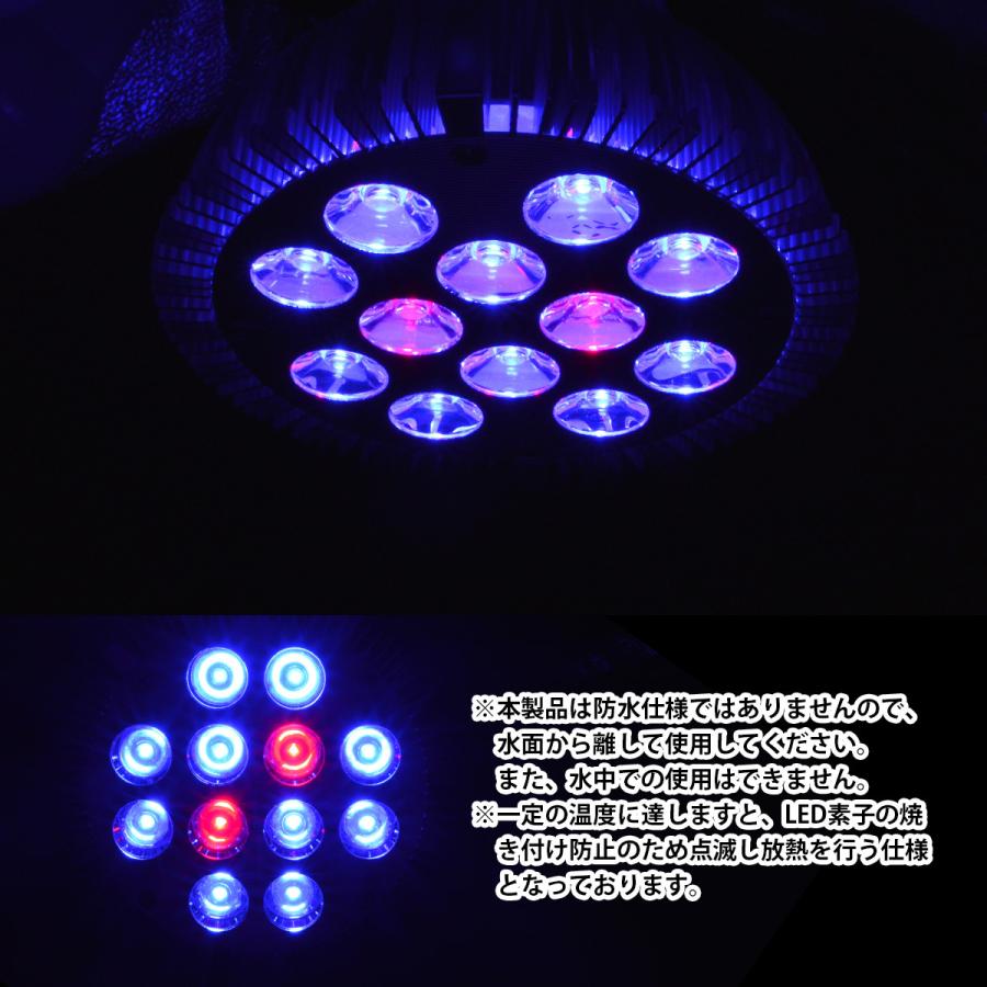 青10赤2] 24W(2W×12) 電球 E26 口金 水槽 用 照明 植物育成 スポット