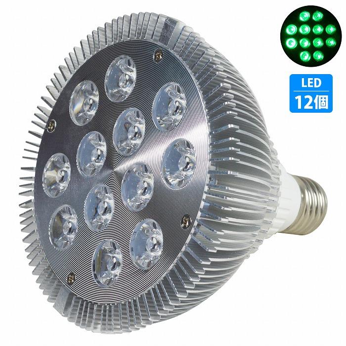 ショッピング Led 電球 スポットライト 24w 2w 12 シアン12灯 水槽 照明 E26 Ledスポットライト 電気 水草 サンゴ 熱帯魚 観賞魚 植物育成 Alice Com Ve