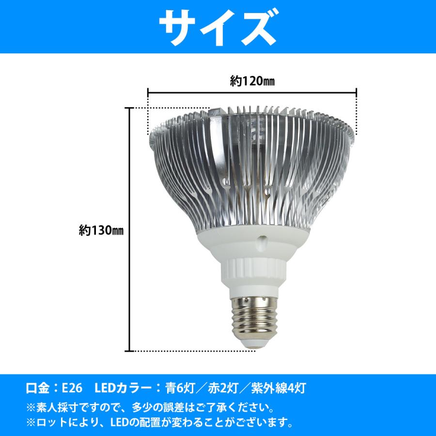 青6/赤2/紫外線4] 24W(2W×12) 電球 E26 口金 水槽 用 照明 植物育成