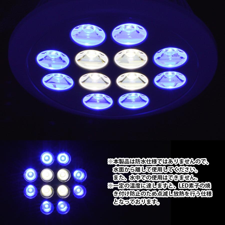 水槽 用 スポット ライト 24W 電球 12LED 青8白4 口金 E26