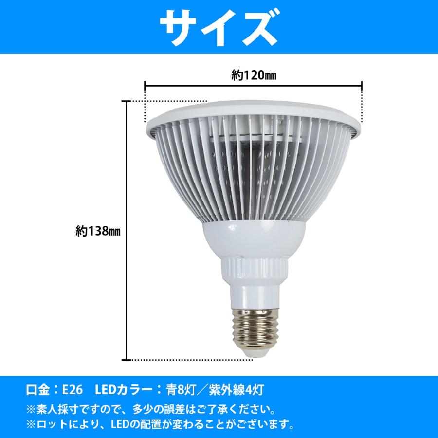 水槽 用 スポット ライト 24W 電球 12LED 青8/紫外線4 口金 E26