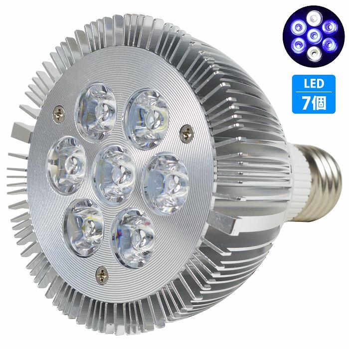 初回限定】 水草 LED 電球 照明 植物育成 24W LEDスポットライト 観賞魚 青10 初回限定】 水草 LED 電球 照明 植物育成 24W LEDスポットライト 観賞魚 青10