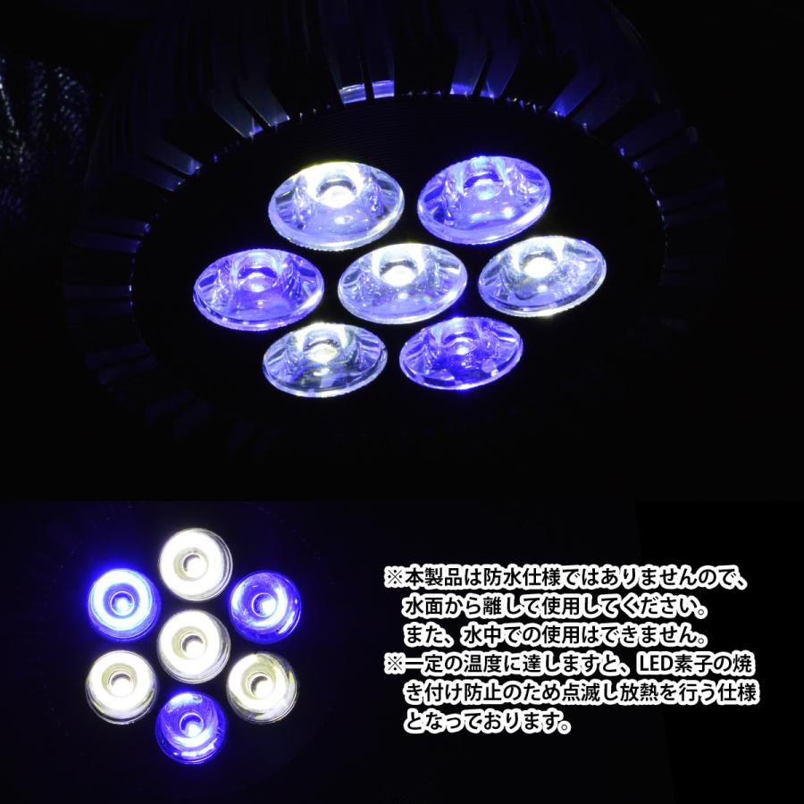 水槽 用 スポット ライト 14W 電球 7LED 白4/青3灯 口金 E26