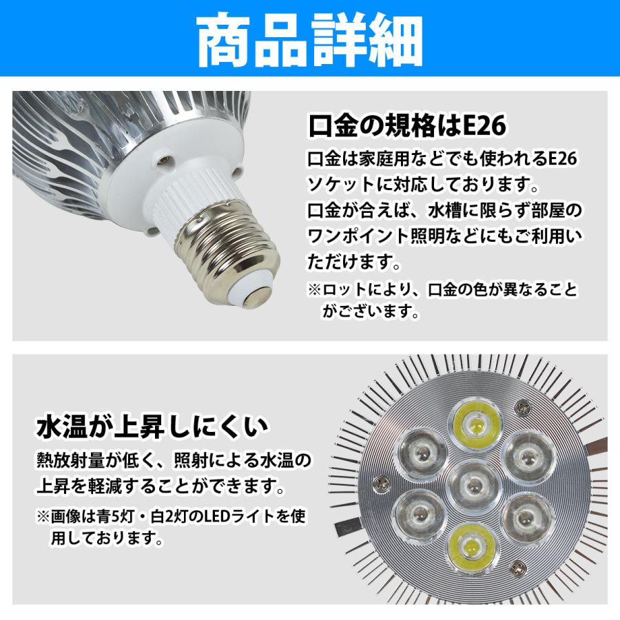 Sale 81 Off Led 電球 スポットライト 14w 青4 白2 紫外線1 水槽 照明 E26 Ledスポットライト 電気 水草 サンゴ 熱帯魚 観賞魚 植物育成 Shipsctc Org