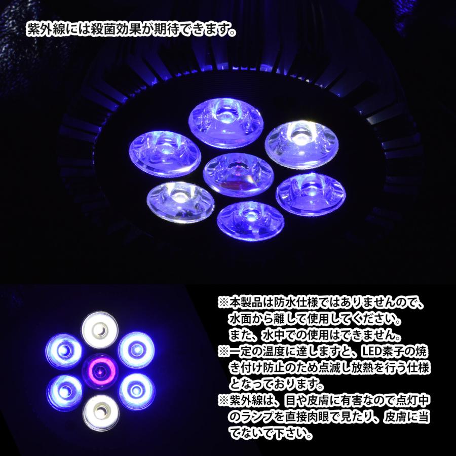 Sale 81 Off Led 電球 スポットライト 14w 青4 白2 紫外線1 水槽 照明 E26 Ledスポットライト 電気 水草 サンゴ 熱帯魚 観賞魚 植物育成 Shipsctc Org