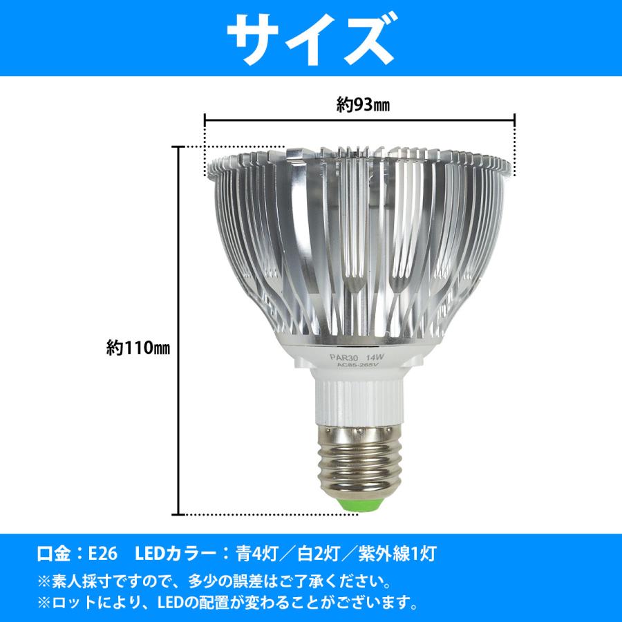 Sale 81 Off Led 電球 スポットライト 14w 青4 白2 紫外線1 水槽 照明 E26 Ledスポットライト 電気 水草 サンゴ 熱帯魚 観賞魚 植物育成 Shipsctc Org