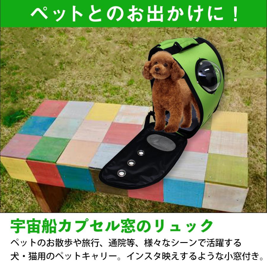 キャリーバッグ 宇宙船カプセル型 リュックタイプ 犬猫兼用 グリーン 