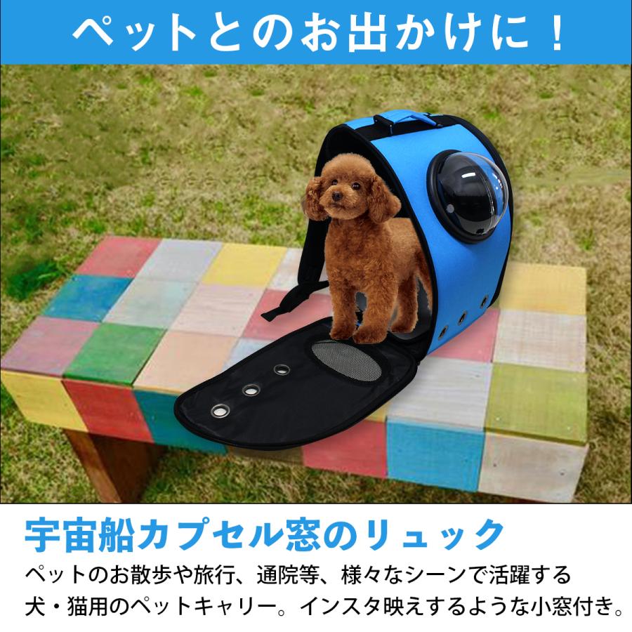 キャリーバッグ 宇宙船カプセル型 リュックタイプ 犬猫兼用 水色