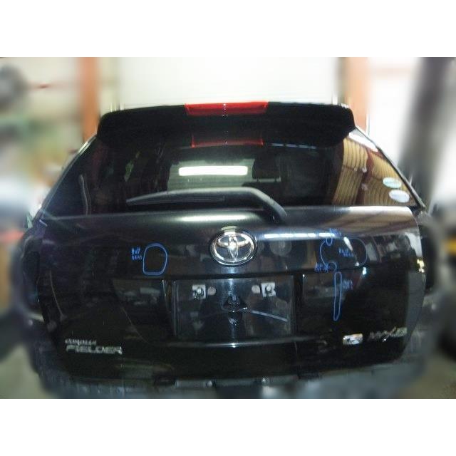 カローラフィールダー NZE161G バックドア(リアゲート) カラー番号209