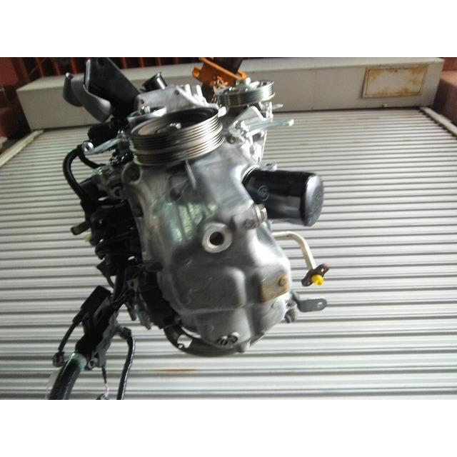 【おまけ付き！／最終値下げ】ホロカ6BOX Petselect by Nihonikuji 公式オンラインショップペットセレクト