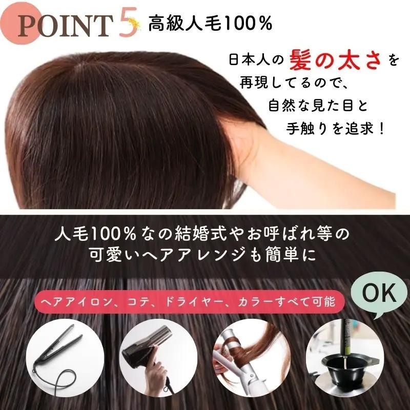 清楚系セミディ 医療用ウィッグ 人毛 フルウィッグ ミディアム