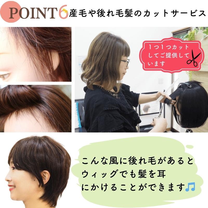コンパクトショート 医療用ウィッグ 人毛 フルウィッグ ショート