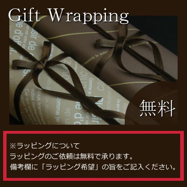 [5年間保証付・正規販売店] 折りたたみ傘 クニルプス Knirps T.220 Medium Duomatic Safety UVカット 安全構造  プレゼントの画像