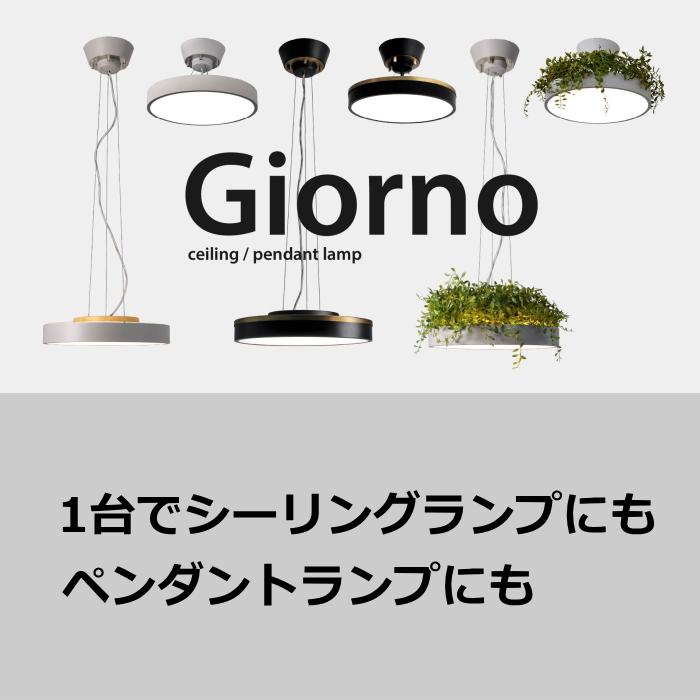 DI CLASSE（ディクラッセ） ジョルノ リーフ シーリング ペンダント