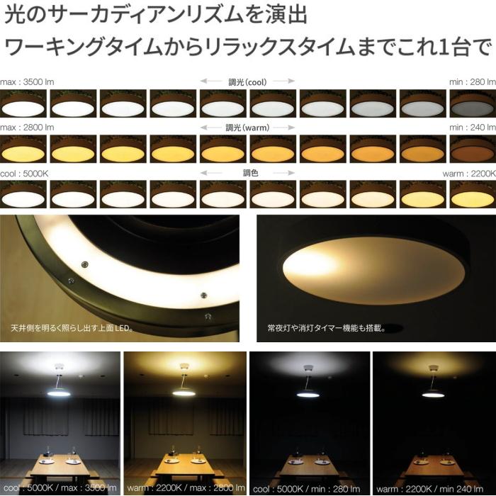 DI CLASSE（ディクラッセ） ジョルノ リーフ シーリング ペンダント