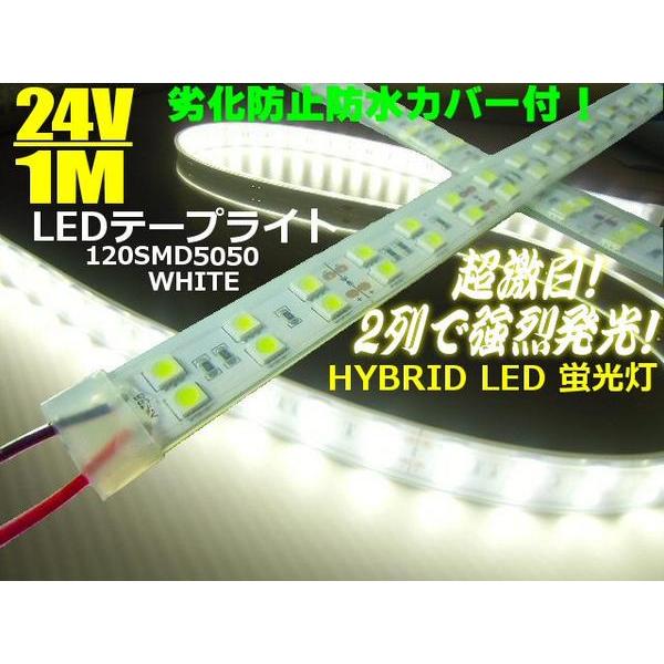 24V/船舶・漁船用/カバー付LEDテープライト蛍光灯・航海灯/1M｜a-rianet