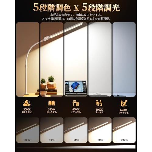 2025新登場Hoxhyon デスクライト LED 白 クランプ式 卓上ライト 電気