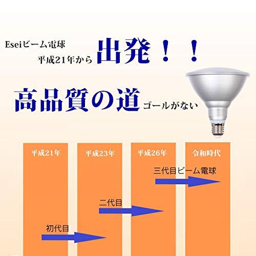 Esei「3年」 長寿命型 LEDビームランプ 250W相当 E26口金 IP65